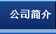 公司简介